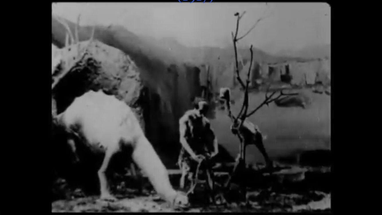 Prehistoric Poultry